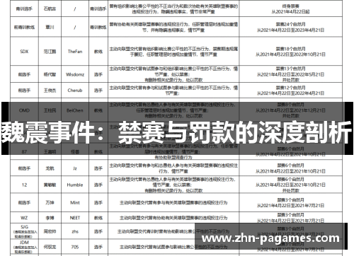 魏震事件：禁赛与罚款的深度剖析